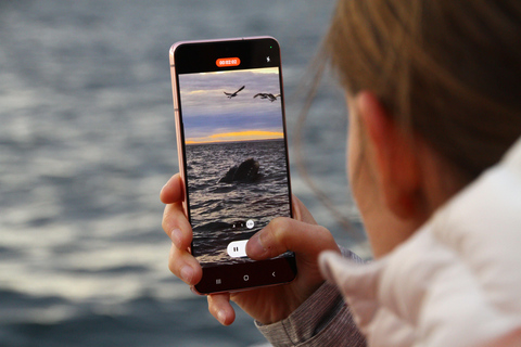 Península Valdés: Whale Watching Boat Tour with Guide