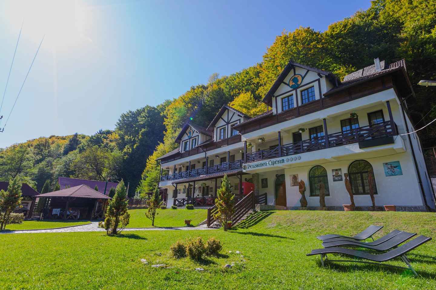 Desde Bucarest: Tour Brădetu en 4x4 con Almuerzo y Recogida en el Hotel