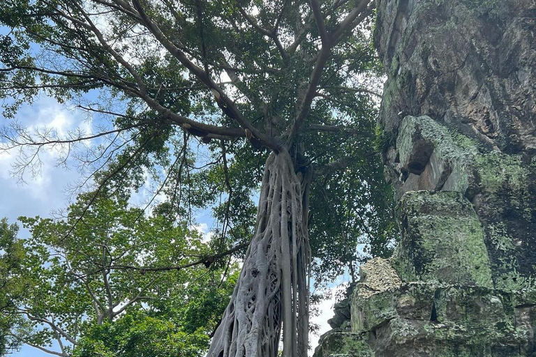 Siem Reap: Small Group Tour 1 day at Angkor with sunrise Small Group Tour in Spanish