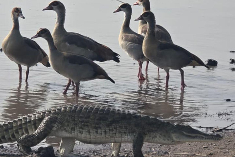 Nairobi National Park Evening and Sundowner Game Drive