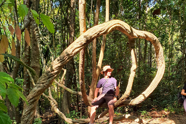 Khao Sok: Half-Day & Night Wildlife Trek and Jungle Dinner Option 6: Half-Day & Night Trek with Dinner From Khao Lak