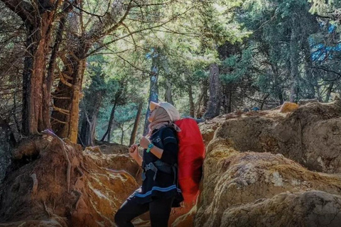 Escursione di un giorno sul Monte Prau