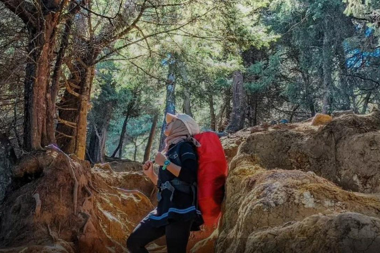 Escursione di un giorno sul Monte Prau