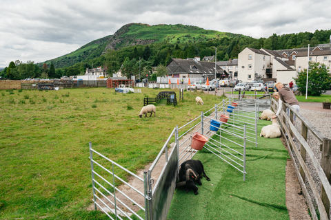 De Edimburgo: Excursão a Loch Lomond, Castelo de Stirling e KelpiesDe Edimburgo: Lago Lomond, Castelo de Stirling e Kelpies