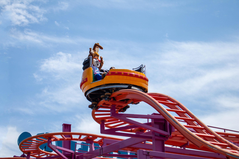 Special Admission to the Amusement Park + Transportation from San José