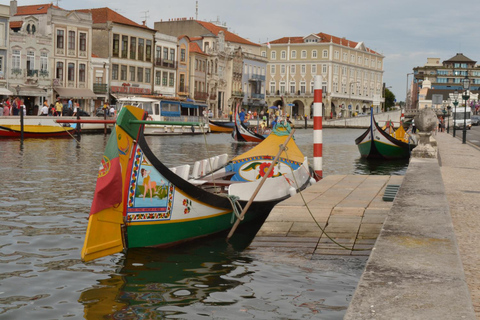 Desde Oporto: tour de medio día a Aveiro y crucero de 1 hora