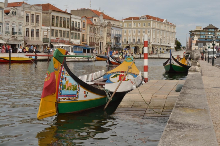 Z Porto: półdniowa wycieczka do Aveiro z 1-godzinnym rejsem
