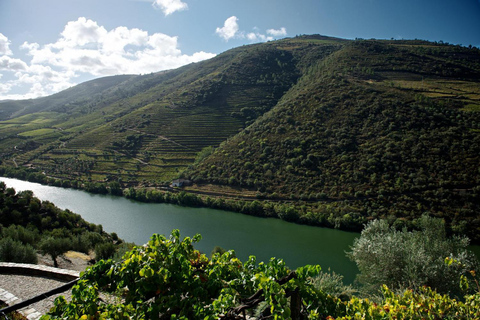 Porto: tour enologico della Valle del DouroPorto: tour enologico della valle del Douro