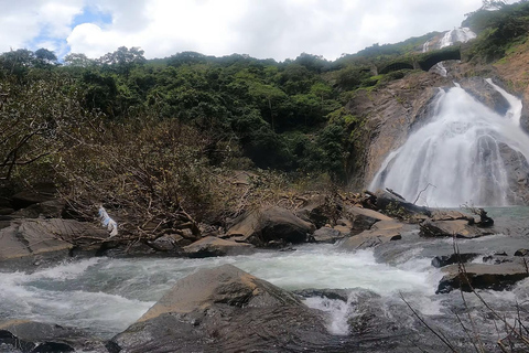 Goa: SIC Dudhsagar Waterfall and Spice Plantation Day Tour