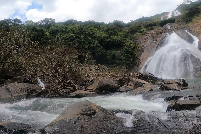 Goa: SIC Dudhsagar Waterfall and Spice Plantation Day Tour