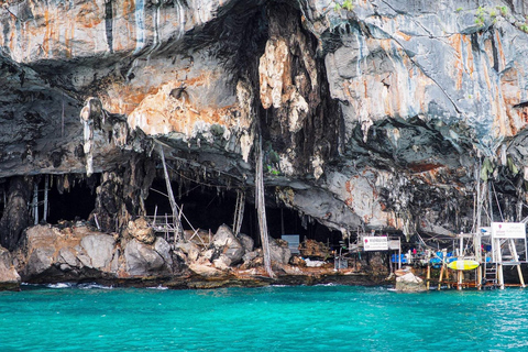 Phuket: Phi Phi, Maya Bay & Khai Speedboat Tour (Full Day) Meet up at the pier (No Hotel Transfer)
