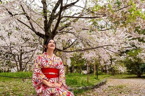 Kyoto: Private Kimono Photoshoot for Couples and Solo