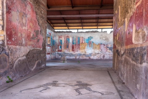 Pompeje: Wejście bez kolejki i audioprzewodnikFrancuska wycieczka z przewodnikiem