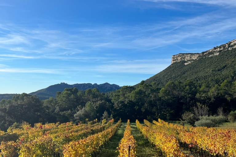 Von Montpellier aus: Pic Saint-Loup Wein- und Foodtour