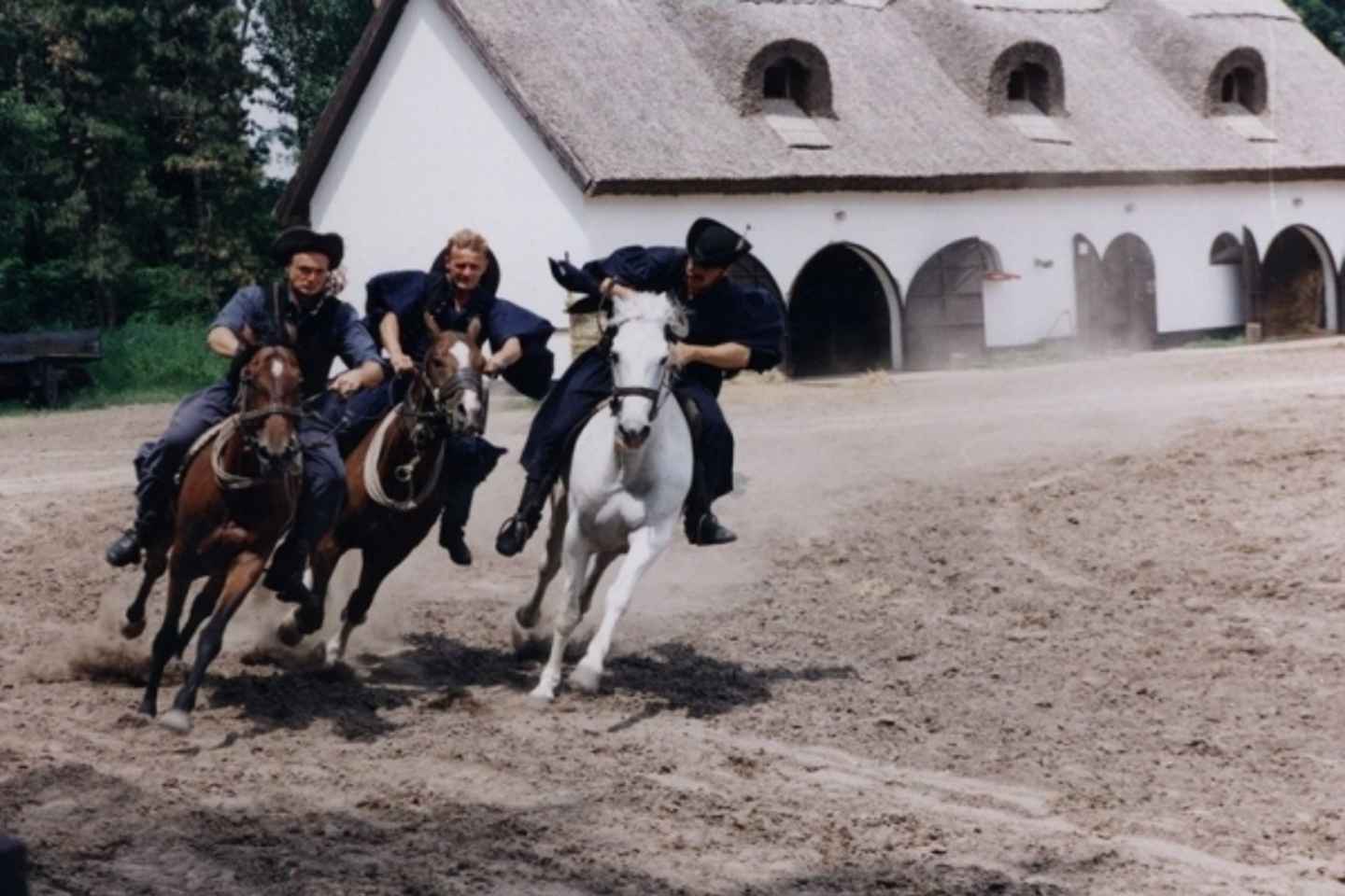 The: Hungarian Puszta from Budapest Full-Day Tour