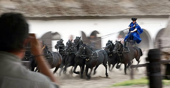 The: Hungarian Puszta private tour with horseshow and lunch