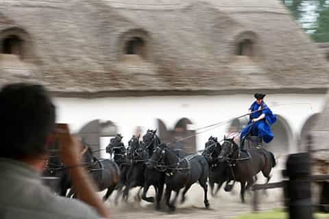 Budapest: Hungarian Puszta and Kecskemét Full-Day Tour