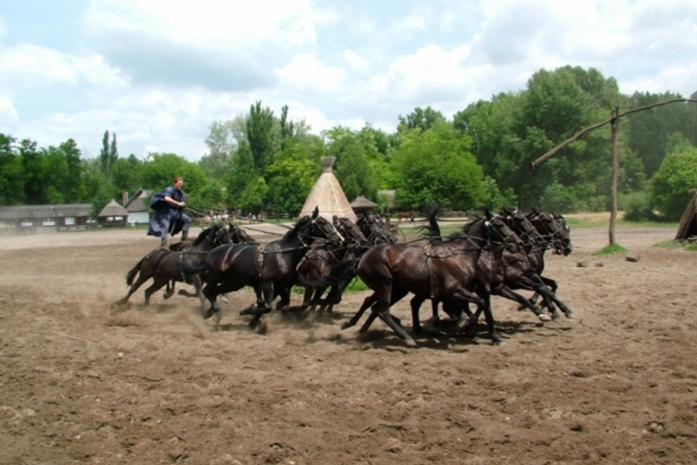 Wycieczka całodniowa z Budapesztu na węgierską pusztęWęgierska Puszta z Budapesztu – wycieczka całodniowa