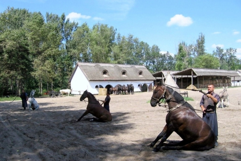 Wycieczka całodniowa z Budapesztu na węgierską pusztęWęgierska Puszta z Budapesztu – wycieczka całodniowa