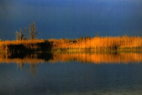 Wycieczka całodniowa z Budapesztu na węgierską pusztęWęgierska Puszta z Budapesztu – wycieczka całodniowa