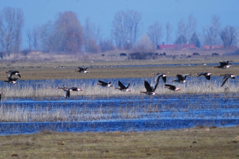 Wycieczka całodniowa z Budapesztu na węgierską pusztęWęgierska Puszta z Budapesztu – wycieczka całodniowa