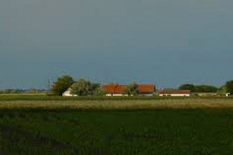 Wycieczka całodniowa z Budapesztu na węgierską pusztęWęgierska Puszta z Budapesztu – wycieczka całodniowa