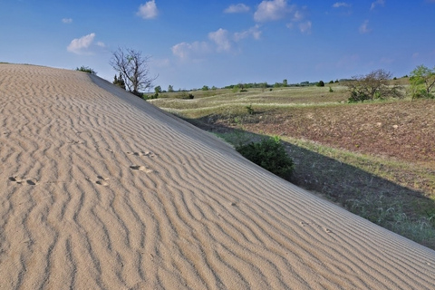 Wycieczka całodniowa z Budapesztu na węgierską pusztęWęgierska Puszta z Budapesztu – wycieczka całodniowa