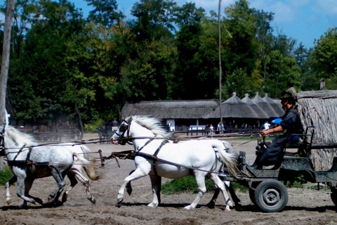 Wycieczka całodniowa z Budapesztu na węgierską pusztęWęgierska Puszta z Budapesztu – wycieczka całodniowa