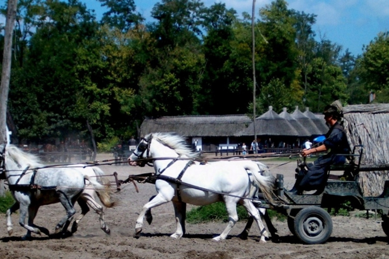 Wycieczka całodniowa z Budapesztu na węgierską pusztęWęgierska Puszta z Budapesztu – wycieczka całodniowa