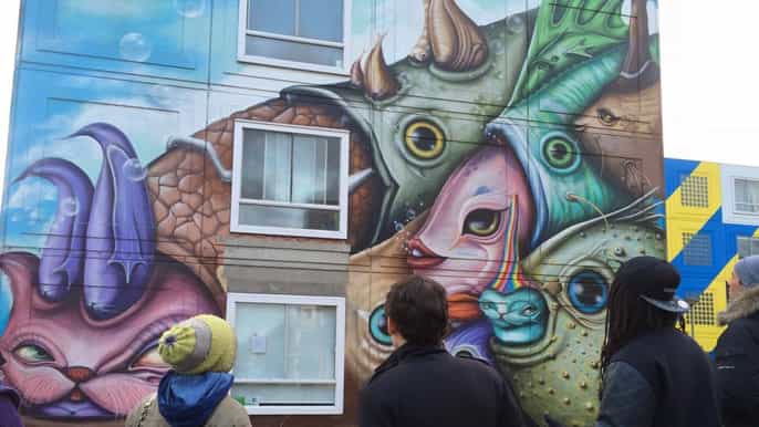 amsterdam 2hour street art murals tour