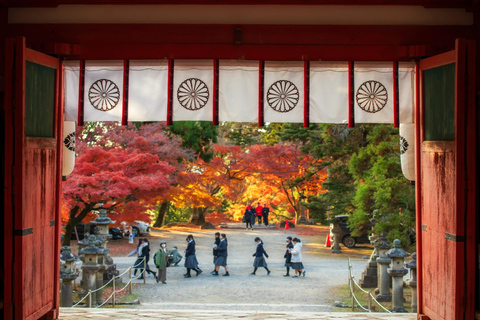 Kyoto: Nara Half-Day Small Group Tour