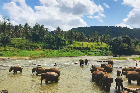 Sri Lanka Bergzug, Wasser-Rafting, Dschungel-Safari