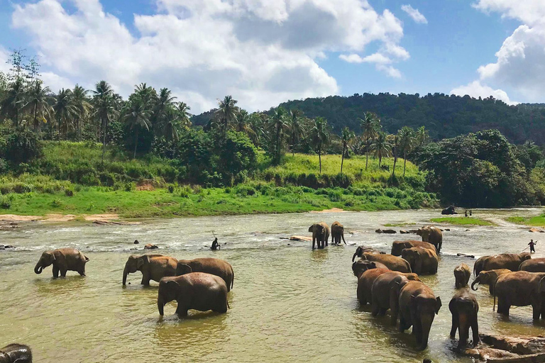 Sri Lanka Bergzug, Wasser-Rafting, Dschungel-Safari