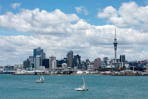 Auckland Harbour Highlights Cruise with Live Commentary