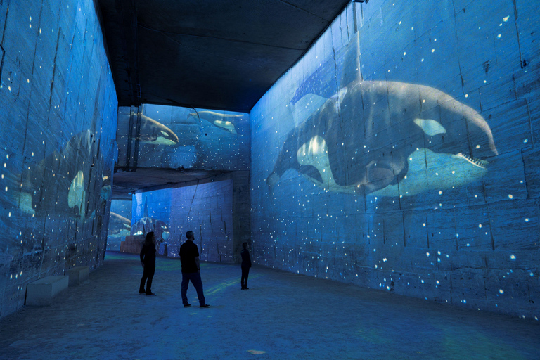 Les Baux-de-Provence: Carrières des Lumières Ocean ticket