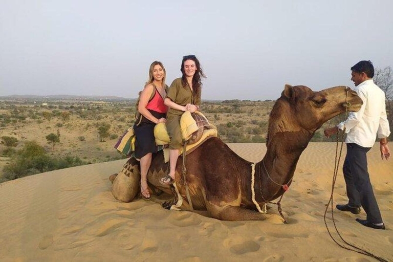 From Jodhpur Camel Safari & Overnight Stay In Desert Camel Safari + Jeep Safari Half Day Tour