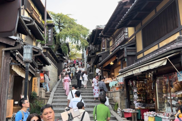 Kyoto: Kiyomizu-dera &amp; Fushimi Inari Halfdaagse tour