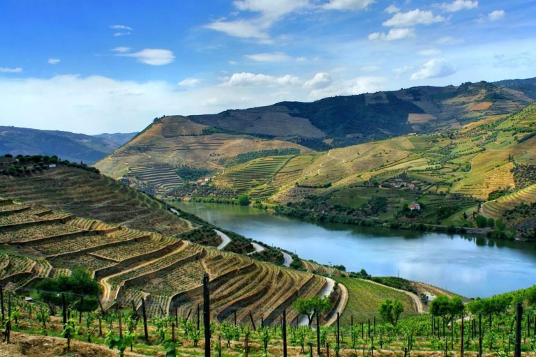From Porto: Régua and Douro Valley Scenic Cruise Meeting Point Departure