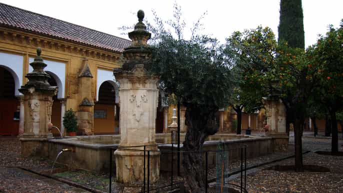 private tour of the mosquecathedral and jewish quarter
