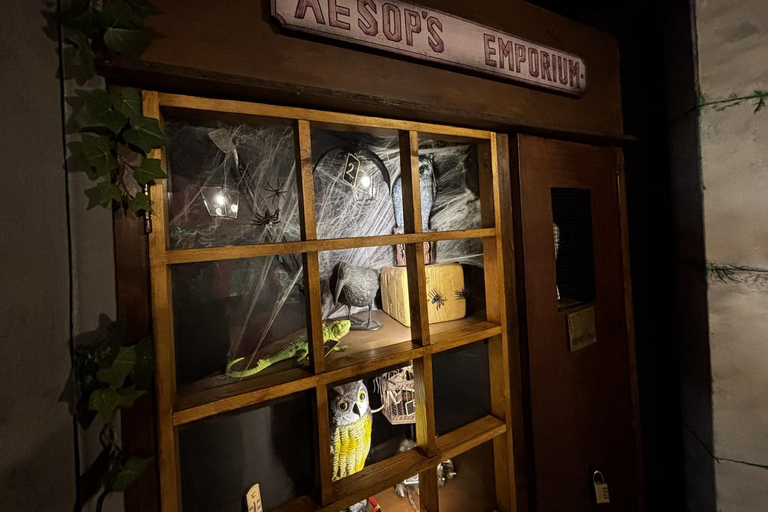 Paphos: Escape Room Experience with Games Master Escape Room: Tomb of the Kings