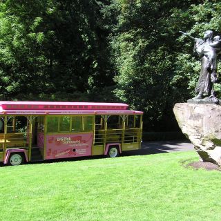 Tour in trolley rosa Hop-On Hop-Off della linea grigia - Biglietto per 1 giorno