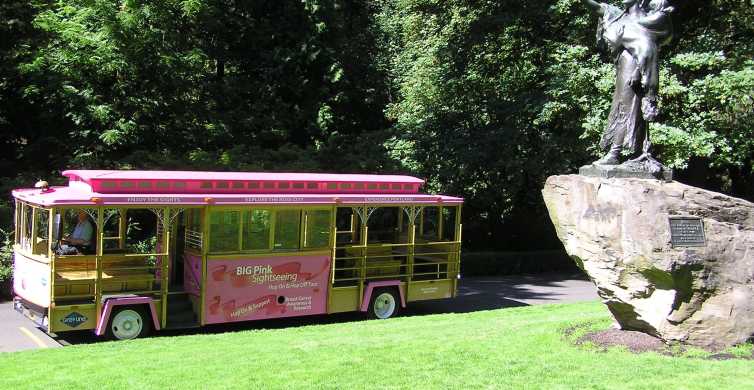 Hop-On Hop-Off Gray Line Pink Trolley Tour - 1 Day Ticket