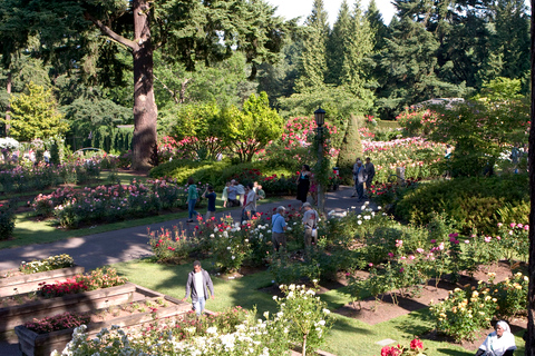 Hop-On Hop-Off Gray Line Pink Trolley Tour - 1 Day Ticket Portland, Oregon: Pink Trolley 2-Day Hop-On Hop-Off Ticket