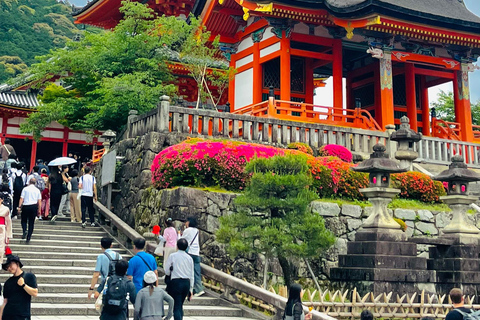 Kyoto Full-Day Customizable Private Tour with English Guide Luxury Toyota Land Cruiser Prado