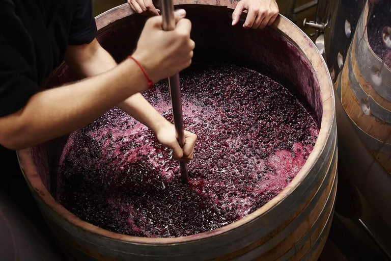 Tbilisi: Georgia & Armenia 6-Day Guided Tour