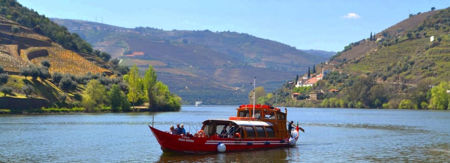 Porto : Visite des vignobles de la vallée du Douro avec déjeuner et croisière fluviale