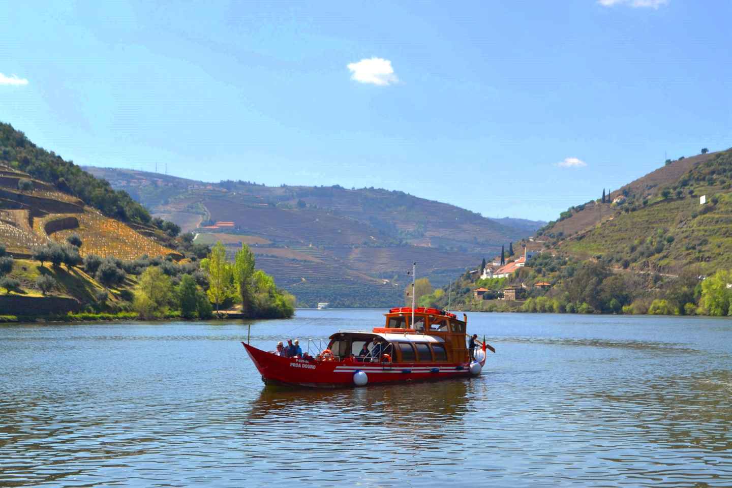 Porto: Douro Valley Vineyards Tour with Lunch & River Cruise