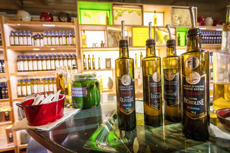 معصرة زيت أوليبو: جولة إرشاديةمعمل زيت أوليبو: جولة بصحبة مرشد سياحي