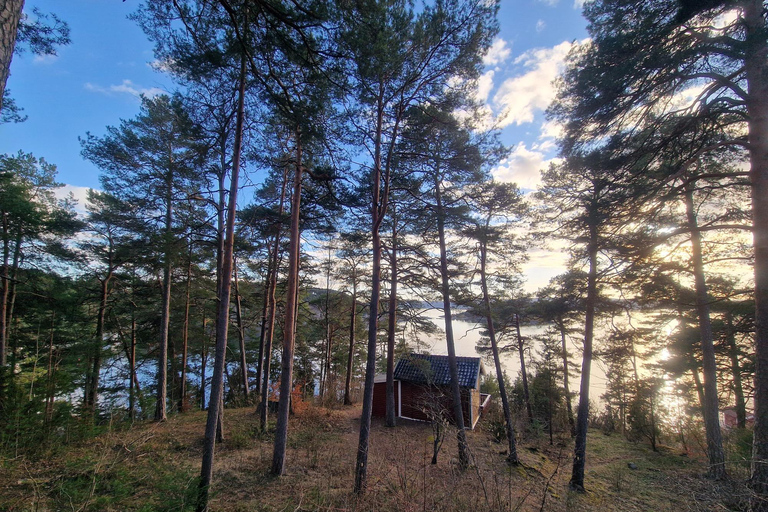 Oslo: Malmøya Guided Hike with Waffle & Salmon Tasting