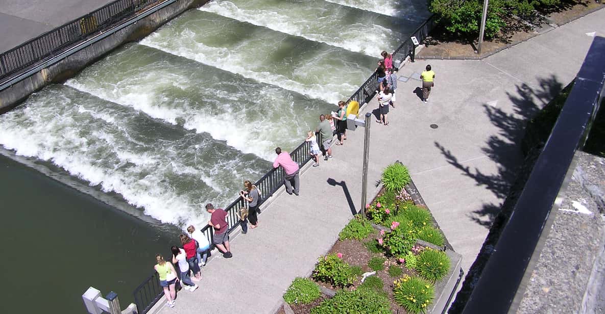 Portland: Half-Day Tour of Multnomah Falls & Columbia River